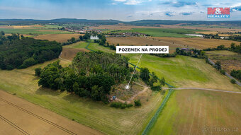 Prodej lesa, 5176 m², Dlouhá Lhota - 3
