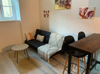 Pronájem plně zařízeného 1+kk bytu - 3