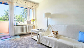 Prodej, Byt 2+1 s dvěma balkony, 66 m2, Brno - Řečkovice - 3