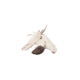 Mražený potkani,myši,kuřátka - 3