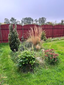 Rodinný dům s terasou 3+kk (pozemek 490m2) - 3
