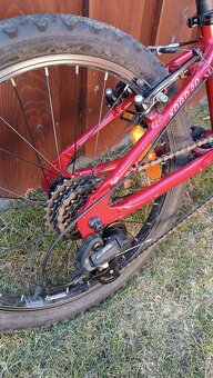 Levit Kogo 20" - 3