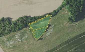 Zemědělská půda, prodej, Kobylí a Plchov, Bystřice, Benešov - 3