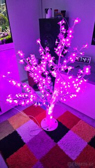 Svíticí sakura - 3