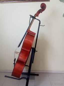 Violoncello - 3