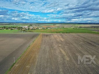 Prodej kvalitních zemědělských pozemků - Lužec nad Cidlinou  - 3