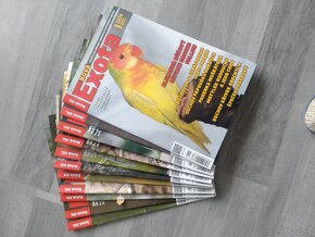 Nová exota - 3