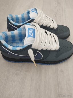 Dunk SB low lobsters velikost 42,5 - 3