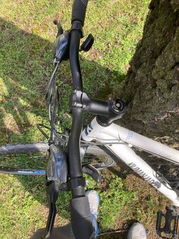Kilimanjaro x-fact 19inch - 3
