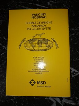 Jezevčík trpasličí - 3