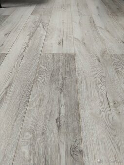 Plovoucí podlaha DUB WONDERLAND - 3