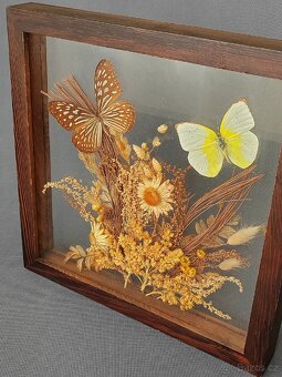 Krásný dekorativní obrázek z motýlů a sušených kvetin - 3
