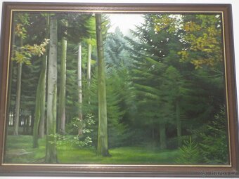 Realistické obrazy-ruční  malba-olejomalba - 3