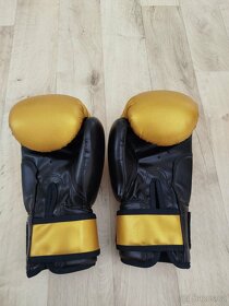 Boxerské rukavice Fighter 12-OZ vel.9 - 3