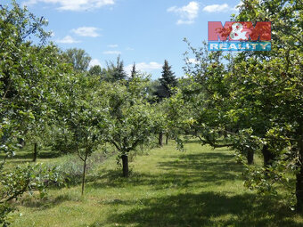 Prodej zahrady s chatkou, 1006 m², Vršovice - 3