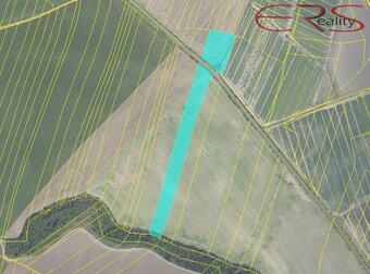 Pole, 22 918 m², Čelákovice, ev.č. 00602 - 3