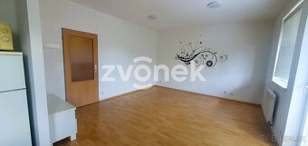 Pronájem bytu 1+kk ve Zlíně, Březnická - 3