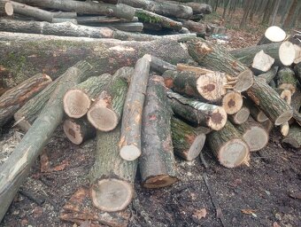 Mix palivového dřeva - 3