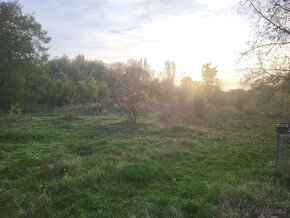 Zahrada 18300 m2, oploceno, u řeky, Štětí - Počeplice - 3