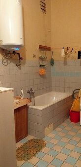 Větší byt 2+1, 102 m2, Nový Bydžov - 3