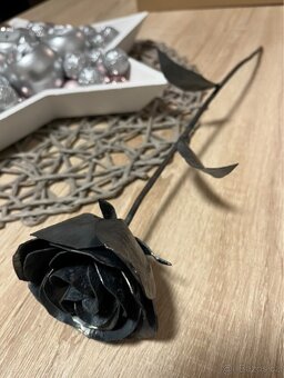 Železná růže - 3