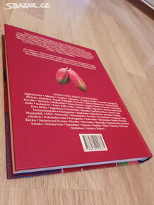 Dějiny Kapverdských ostrovů (edice Dějiny států) - 3