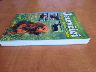 Jezevčíci v myslivecké praxi - 3