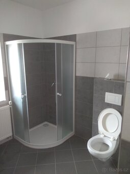 Pronájem bytu 1+kk - 3