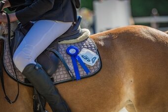 Na prodej klisna 141 cm, Pony B - 3