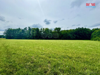 Prodej lesa, 29142 m², Frýdek-Místek - 3