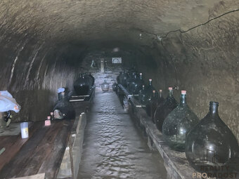 Prodej vinného sklepa ve Chvalovicích, 20 m2, Chvalovice, ok - 3