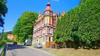 Prodej investiční nemovitosti 18+1 (Janov nad Nisou) - 3