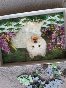 Puzzle, pes, pejsci - 3