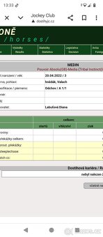 Valach A1/1 - 3