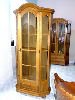 rustikální univerzální jednodveřový skleník/knihovna - 3