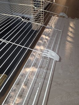 Klec pro kralika - 3