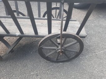 Starý řebřinak malý - 3