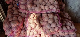Prodej brambor a cibule - 3