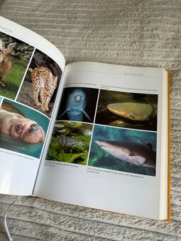 Etologie: biologie chování zvířat - 3
