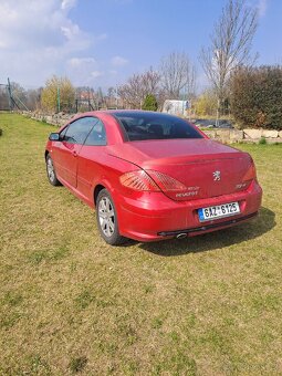Peugeot 307cc - 3