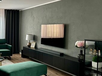 LG OLED 65 C11 (165cm) - 3