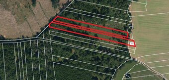 Prodej lesa Stehlovice u obory - 3