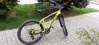 Leader Fox  Factor 2023 - 3