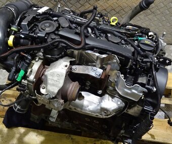 Peugeot expert III - 3