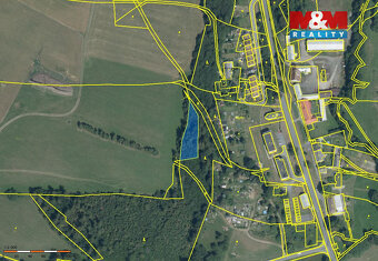 Prodej lesa, 3800 m², Břidličná - Vajglov - 3