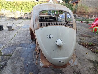 VW Brouk - 3
