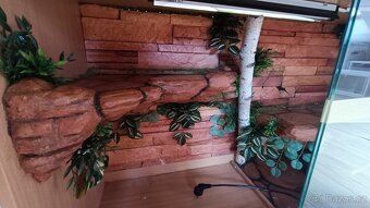 Plně vybavené terarium 122x46x75 cm (d-h-v) - 3