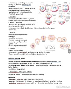Maturitní otázky z biologie - kompletní přehled(PDF) - 3