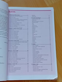 Odmaturuj z českého jazyka - Didaktis - 3