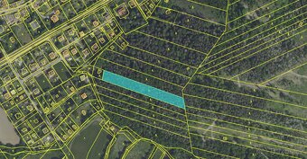 Prodám lesní pozemek v k.ú. Lštění p.č. 437/12 - 3